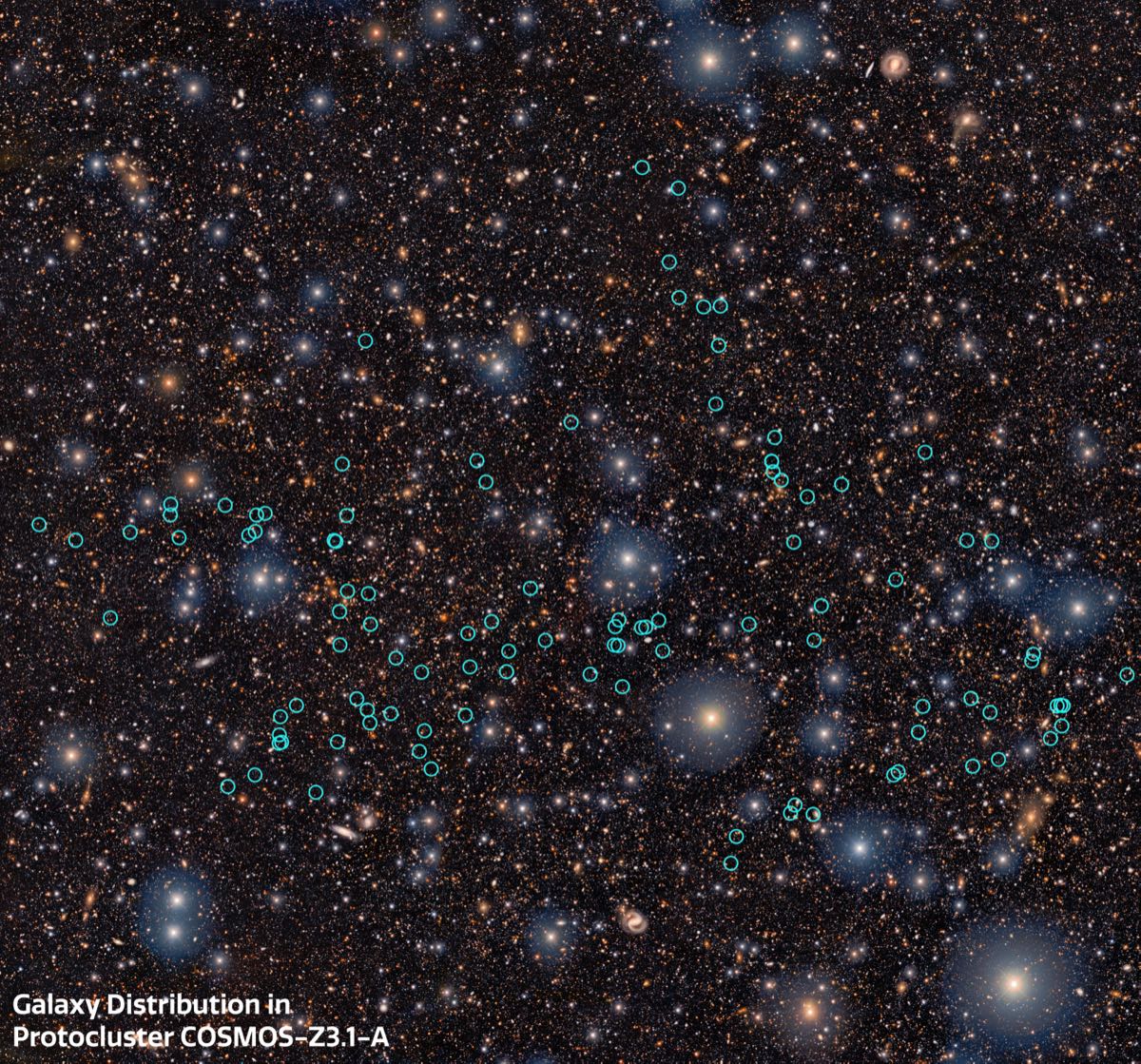 Annotated survey image of the sky region of proto-supercluster COSMOS-z3.1-A, with member galaxies circled