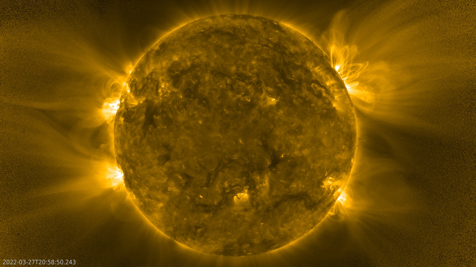 Solar Orbiter extreme-ultraviolet image of the whole Sun, with bright active regions and loops of hot gas reaching off the edge of the disk