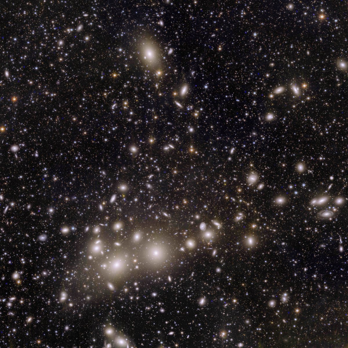 Euclid image of the Perseus galaxy cluster, hundreds of yellowish galaxies against thousands of fainter background galaxies