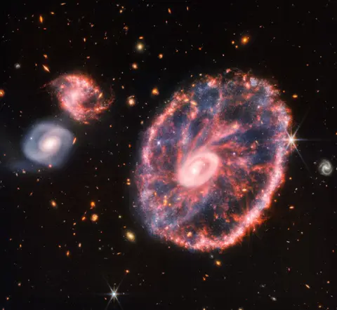 The Cartwheel Galaxy imaged by Webb: a bright core and a pink, spoked outer ring left by a galactic collision.