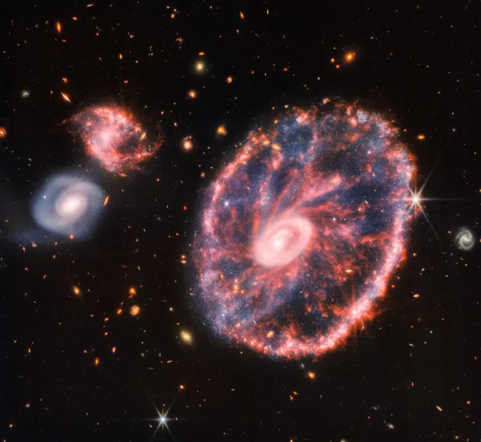 The Cartwheel Galaxy imaged by Webb: a bright core and a pink, spoked outer ring left by a galactic collision.